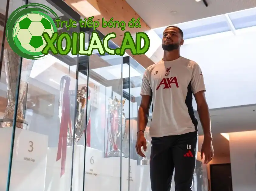 Mục tiêu của Gakpo năm nay sẽ là chức vô địch Champions League (Ảnh: LFC) Mục tiêu của Gakpo năm nay sẽ là chức vô địch Champions League (Ảnh: LFC)